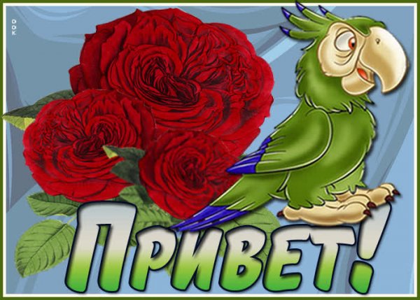 Привет Николай