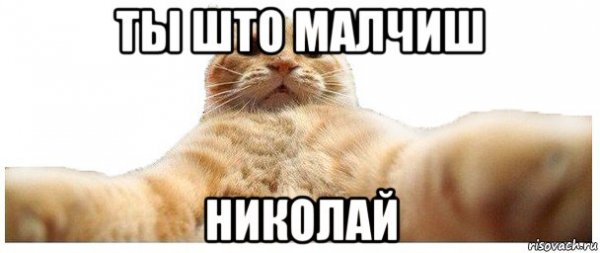 Привет Николай