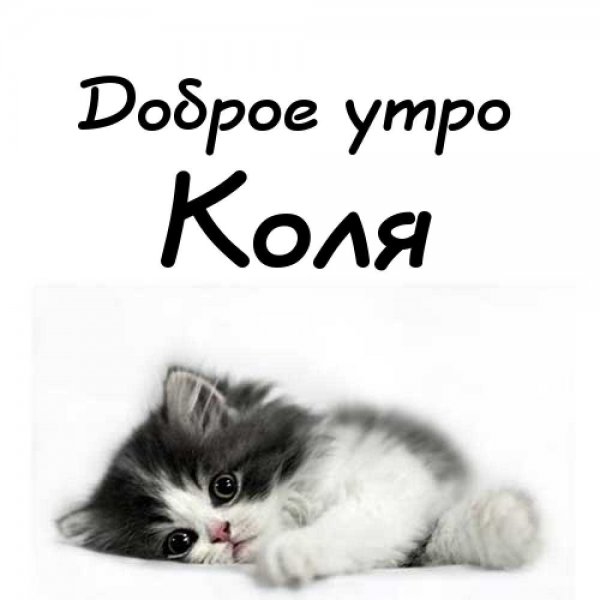 Николай Николай Коля Мем