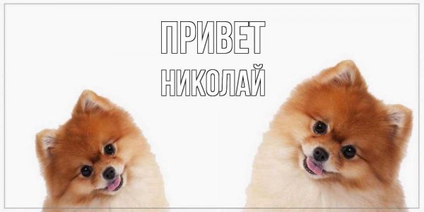 Аркадий имя