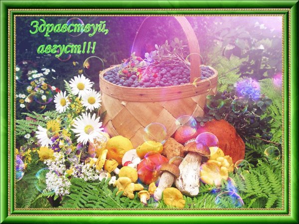 Августовское лето