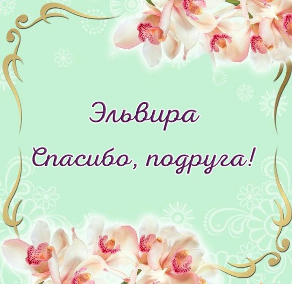 Шутки про Эльвиру