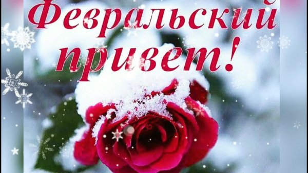 Доброго февральского дня