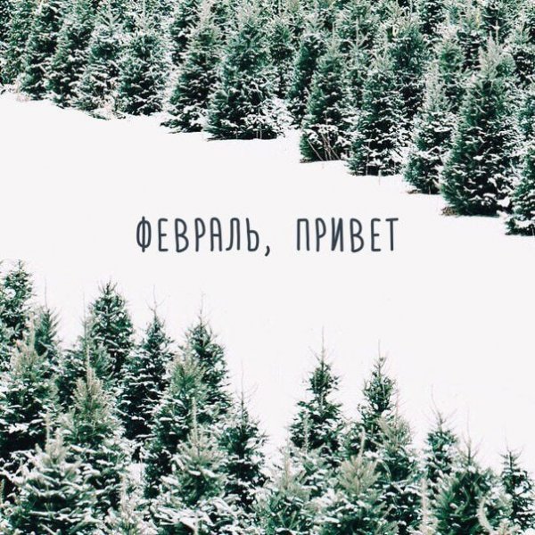 Привет февраль