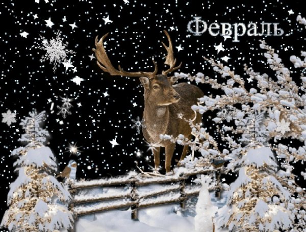 Февраль анимация