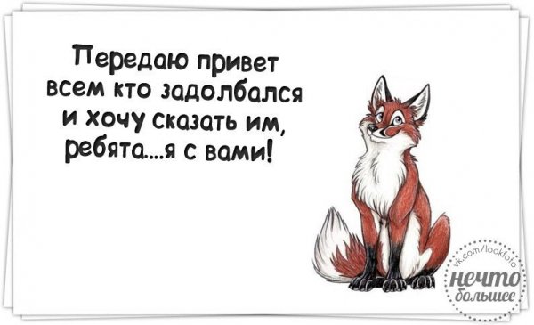 Картинка задолбался