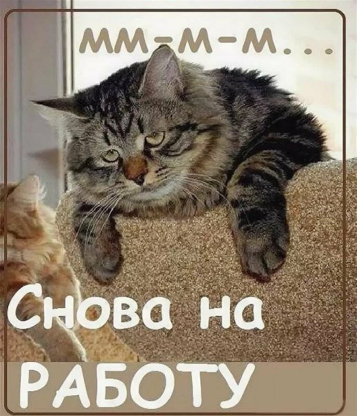 Открытки опять понедельник