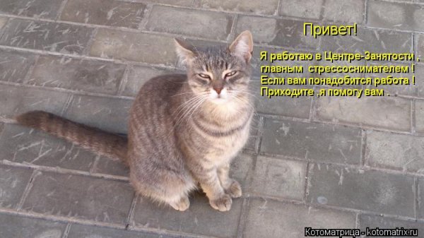 Привет работаешь