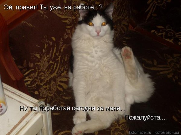Я уже на работе