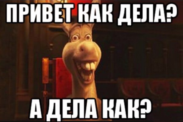 Как дела картинки прикольные