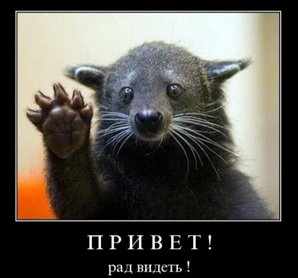 Привет рада видеть