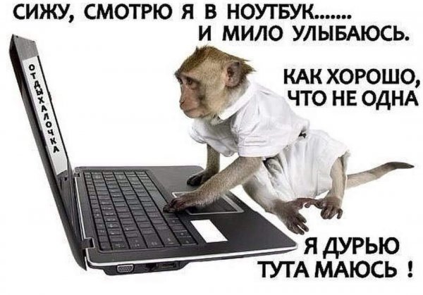 Смешные приколы в интернете