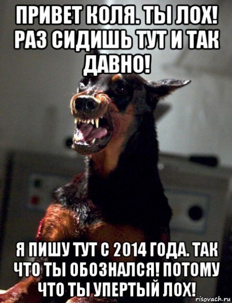 Привет Олеся