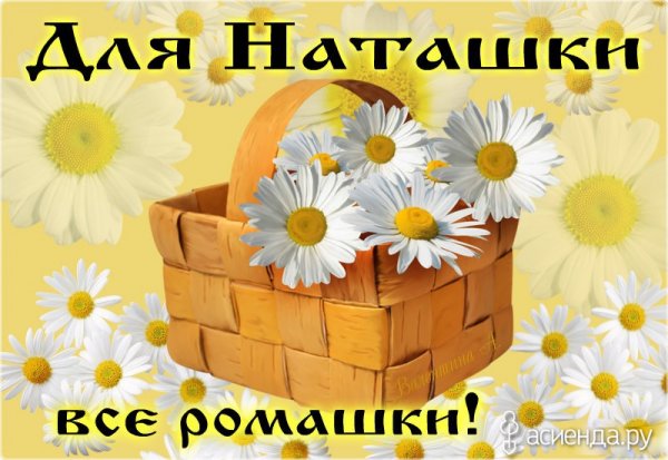 Привет ромашки