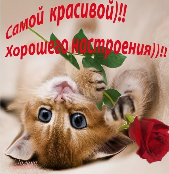 Машки Наташки