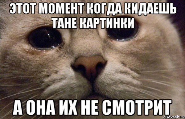 Приколы про Татьяну в картинках