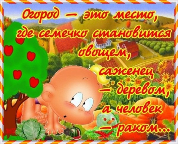 Открытки про огород