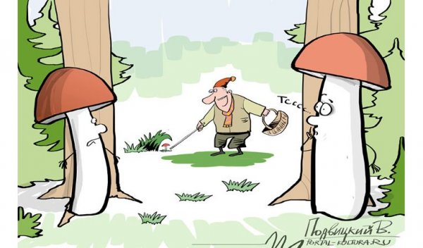 Грибник карикатура