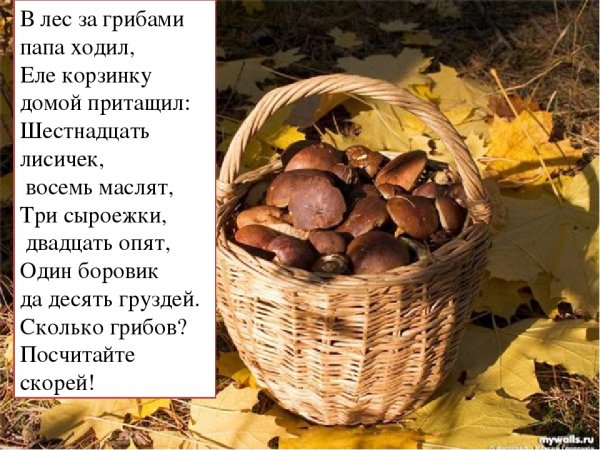 Рассказ за грибами