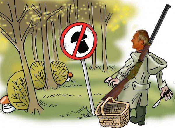 Грибы карикатура