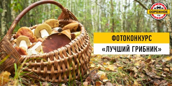 Фотоконкурс грибников