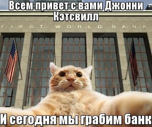 Кот Джонни Кэтсвилл