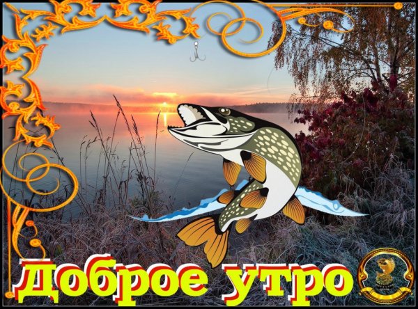 Доброе утро рыбаки