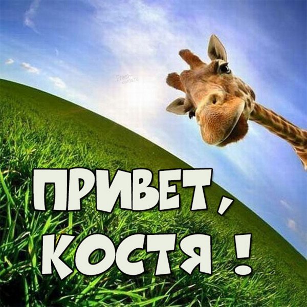 Мемы с именем Костя