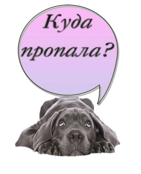 Куда пропал картинки