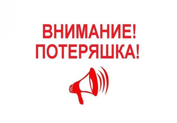 Потеряшка Потеряшкин