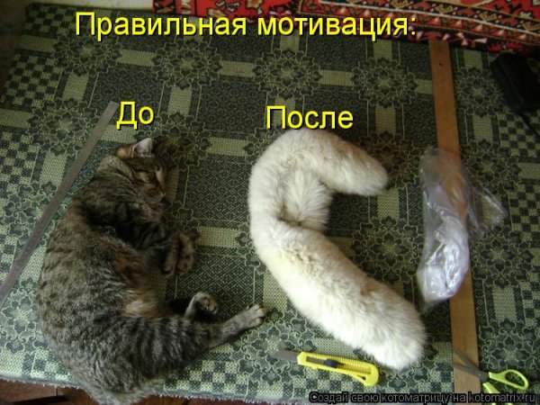 Привет потеряшка картинки