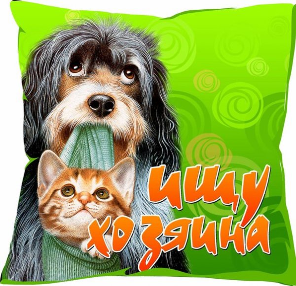 Животные ищут дом