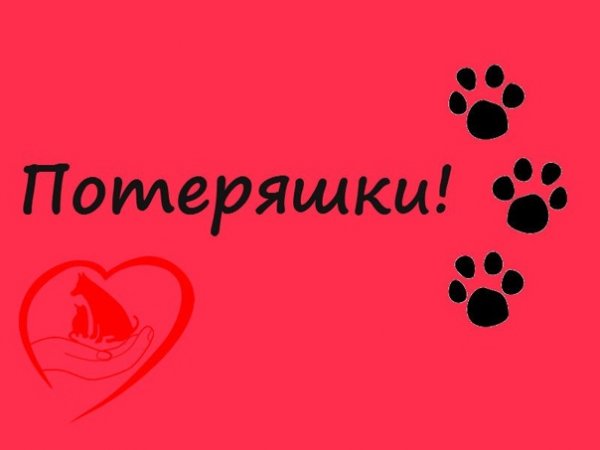 Надпись красивая потеряшка