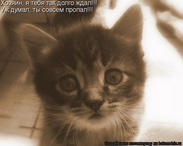 Гиф куда пропал