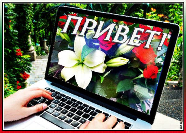 Привет мой друг