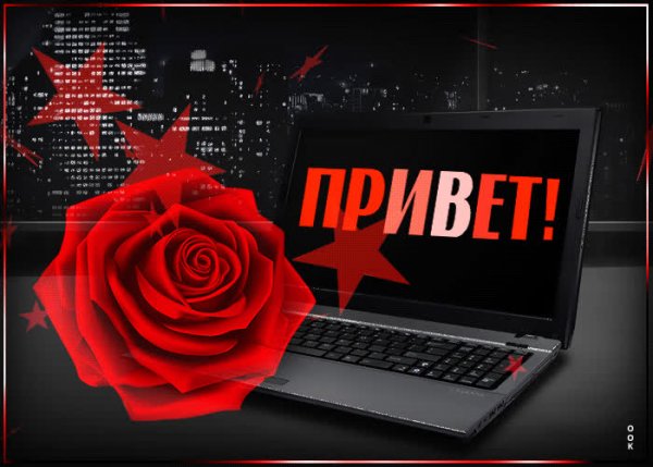 Привет любимому