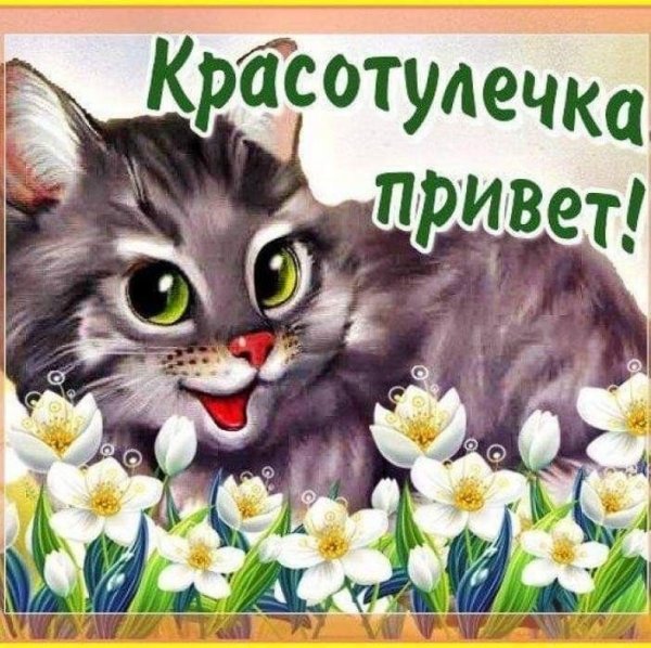 Привет открытки красивые