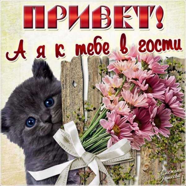 Забежала пожелать отличного настроения