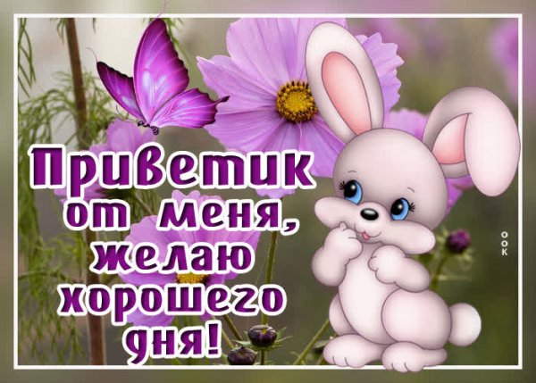 Открытки привет с девочкой