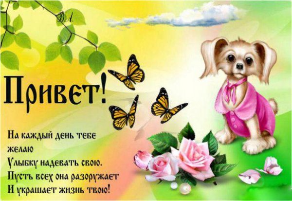 Открытки привет