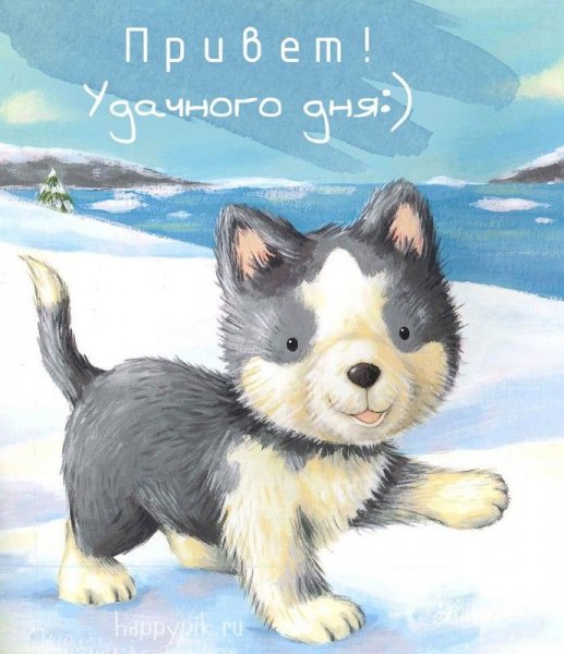 Открытки с животными с надписями