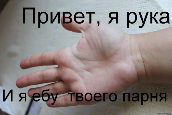 Ладонь привет