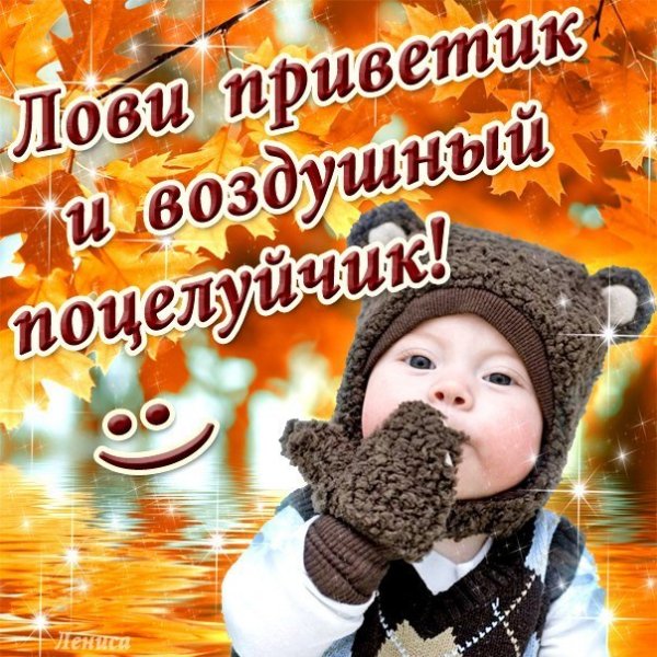 Ноябрьский приветик с добрым