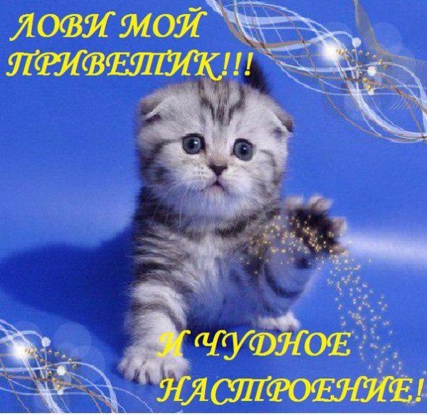 Привет хорошего дня