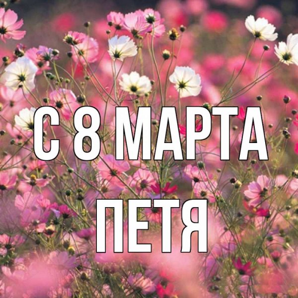 Имя София