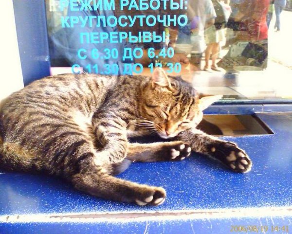 Надпись трудяга