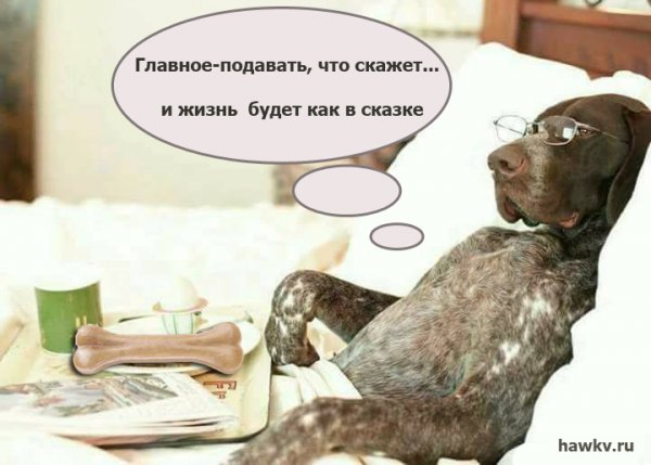 Лошади работяги юмор