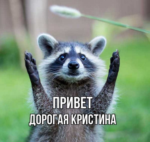 Привет Кристина как дела