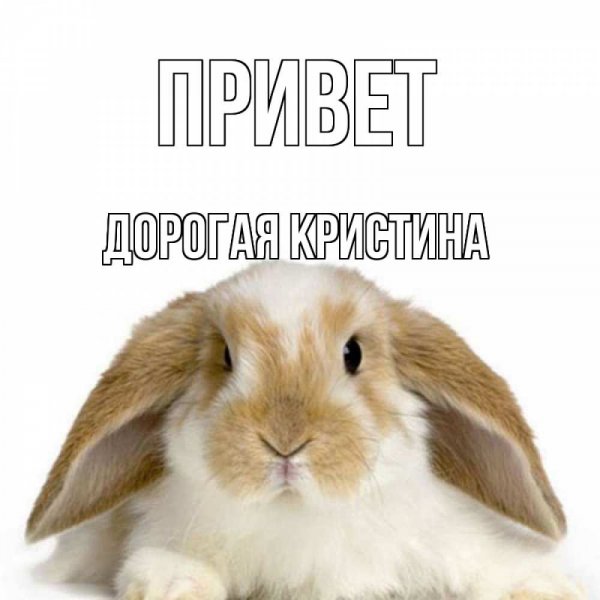 Кристина помогите