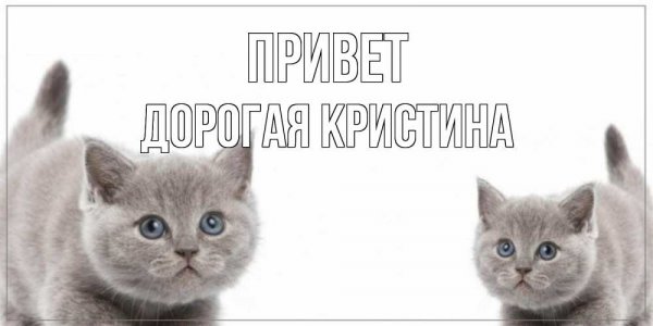 Поздравления с днём рождения Кристине прикольные